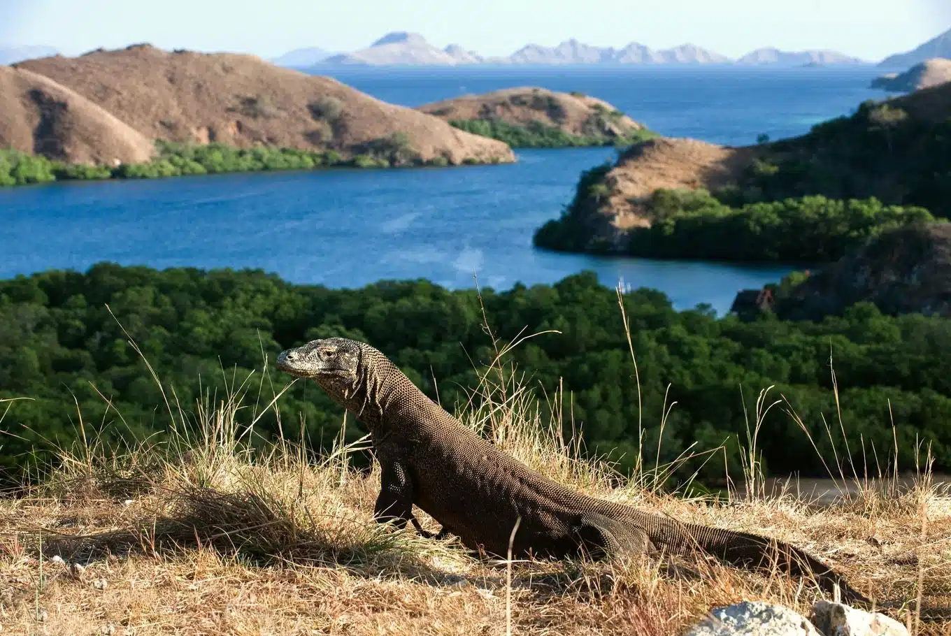 Warisan-Budaya-dan-Sejarah-Pulau-Komodo